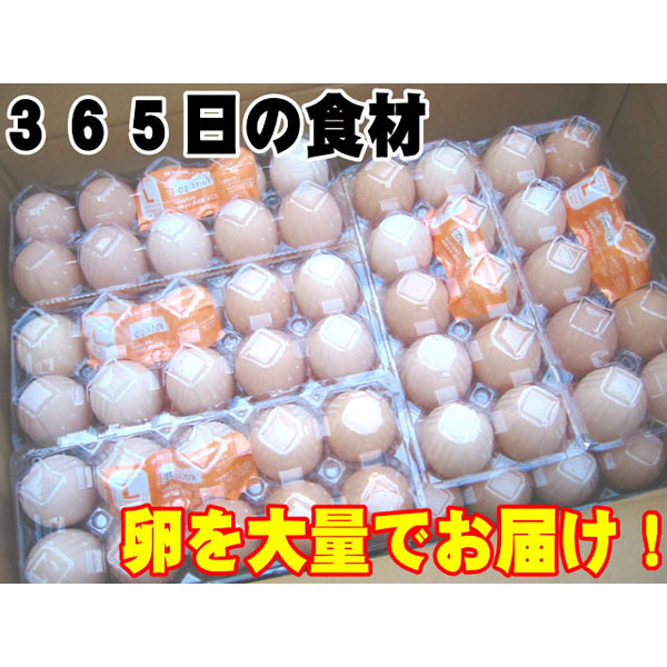 日常の食材 卵を大量でお届け 鶏卵 Lサイズ1箱20パック入