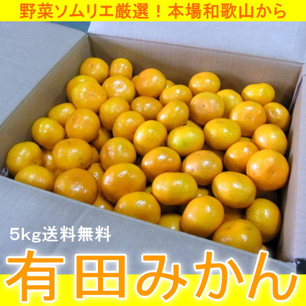 送料無料 野菜ソムリエ厳選!和歌山 本場 有田みかん 5kg 11月初旬から出荷