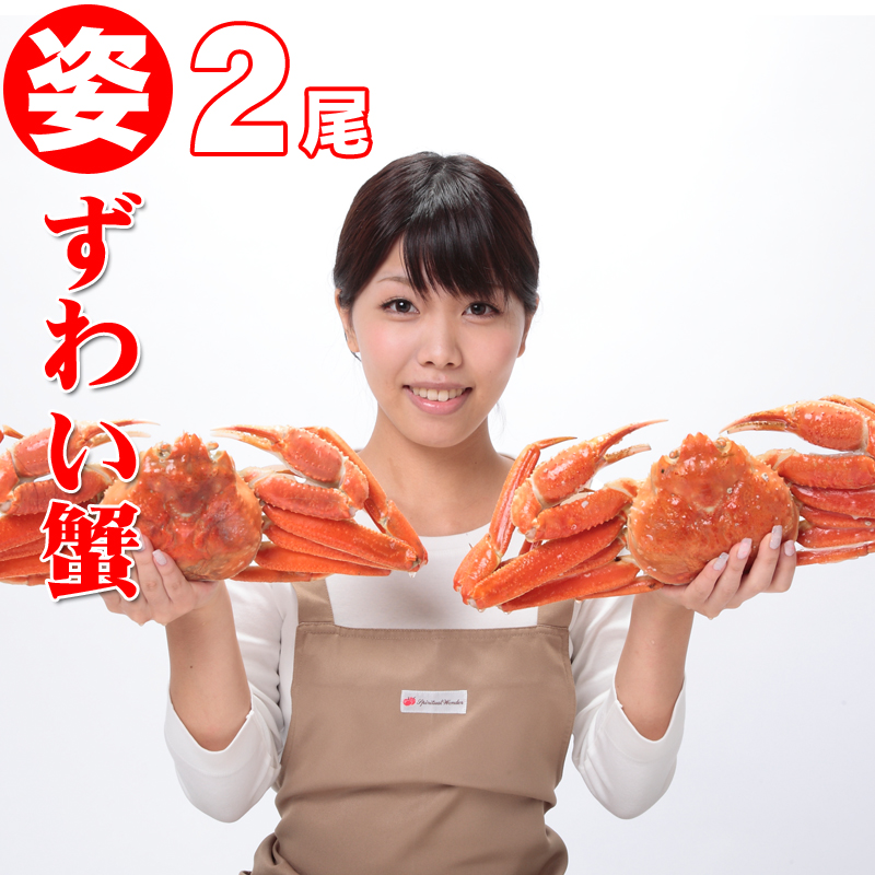 ＼早割/蟹祭り 送料無料 姿ずわい蟹 2尾(約1.5kg前後) ズワイガニ