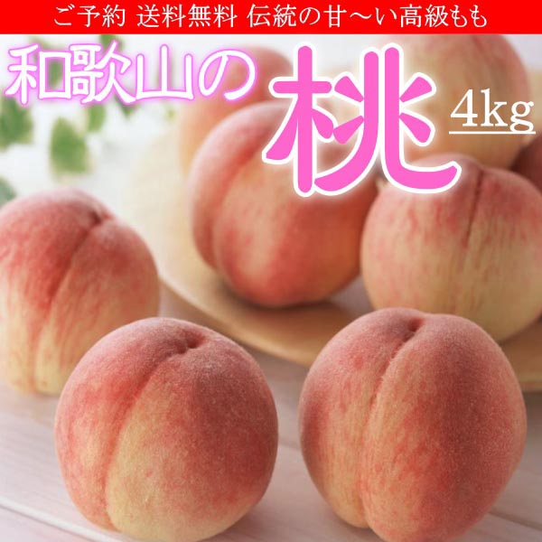 お中元 和歌山の桃 もも モモ 4kg 化粧箱 送料無料 ご予約